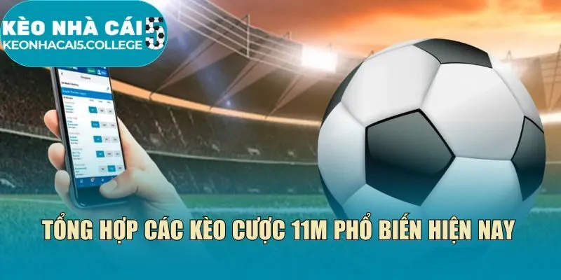 Tổng hợp các kèo cược 11m phổ biến hiện nay